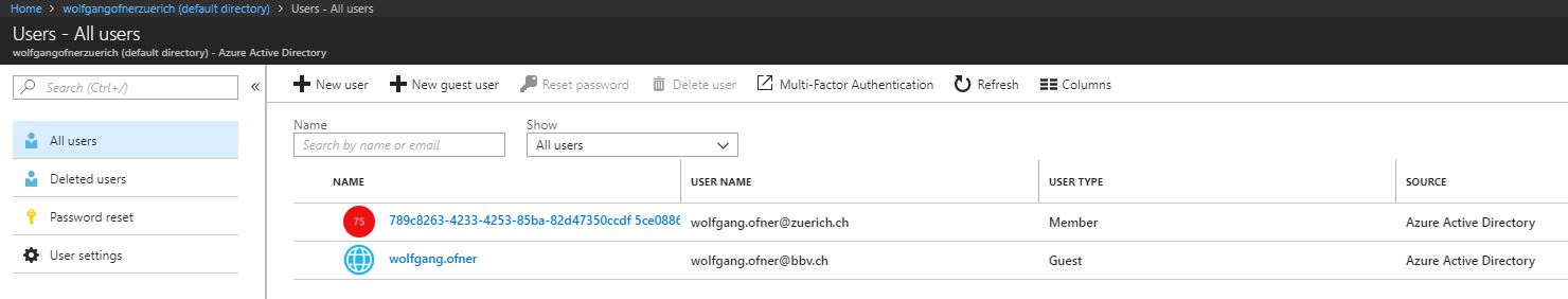 The Azure Active Directory with the new guest user