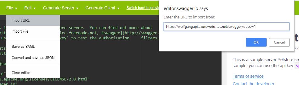 Paste the API definition into the swagger editor