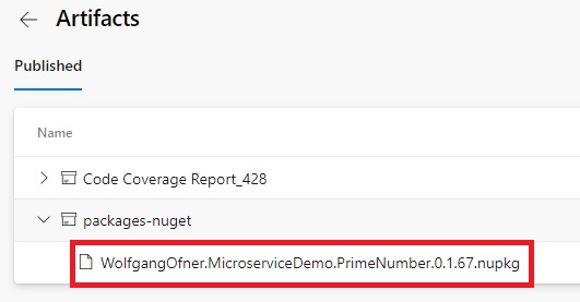The created NuGet package